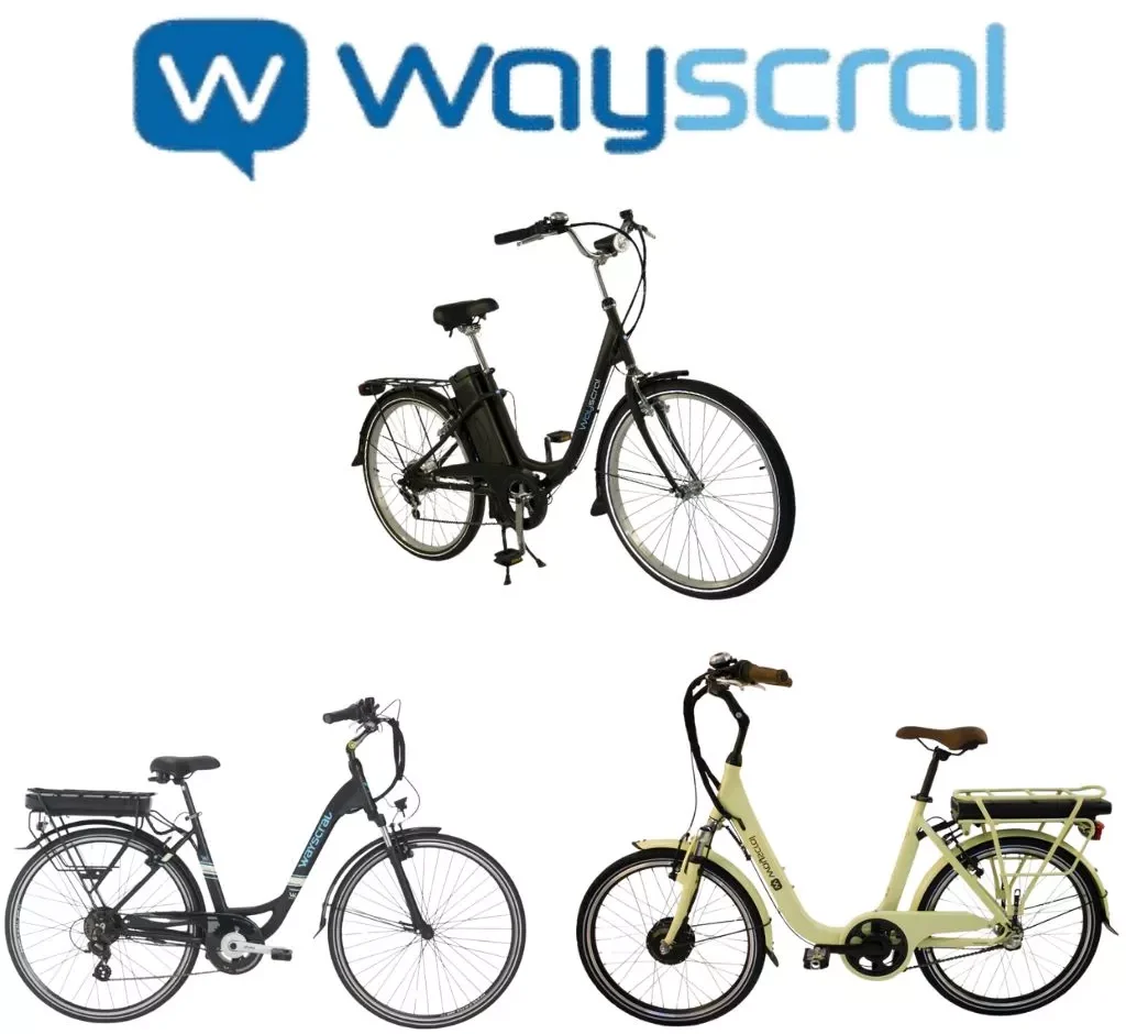 Batteries Wayscral vélo électrique - Flextrott