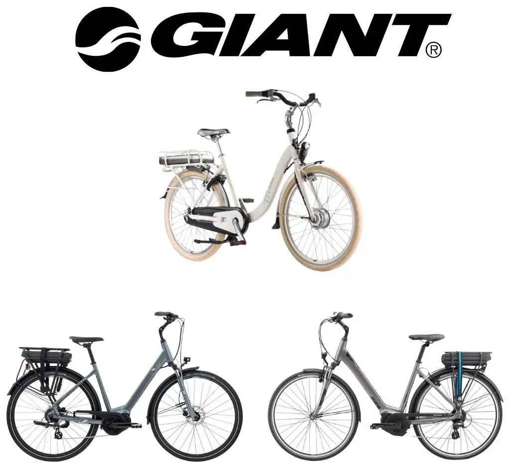 Batteries Giant vélo électrique - Flextrott